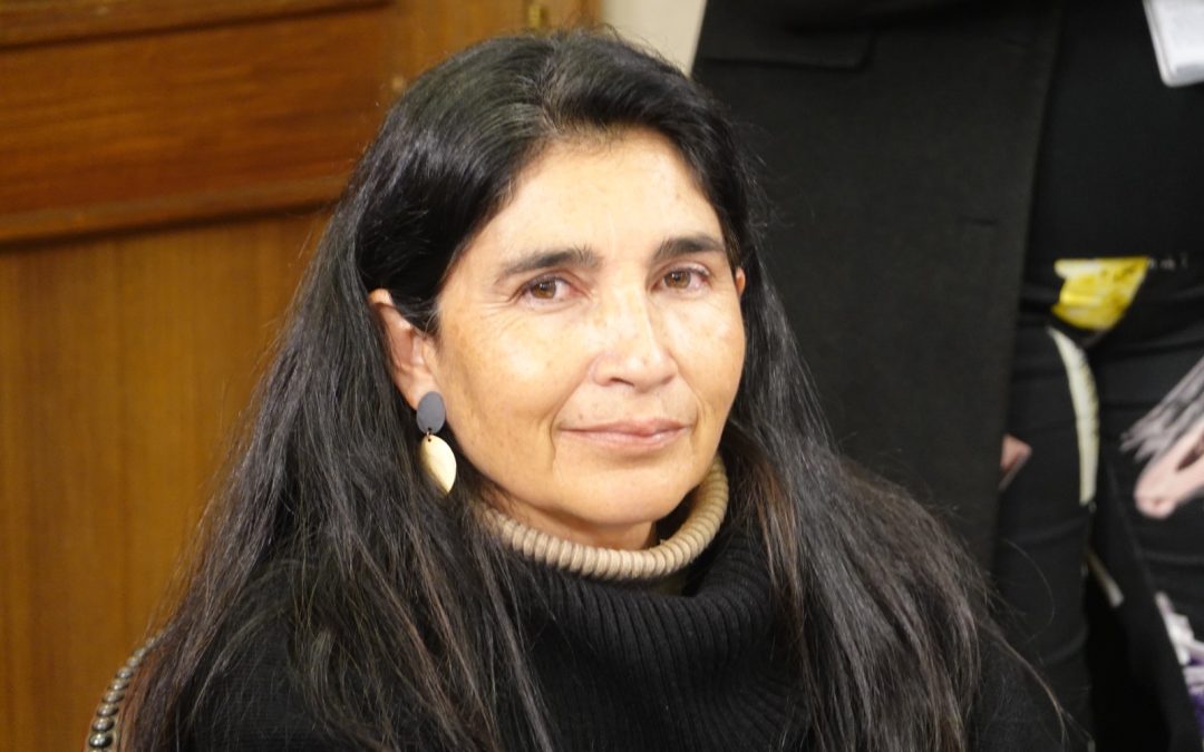 Diputada Ahumada llama a proteger la estabilidad de ENAMI ante posible venta de participación en Quebrada Blanca