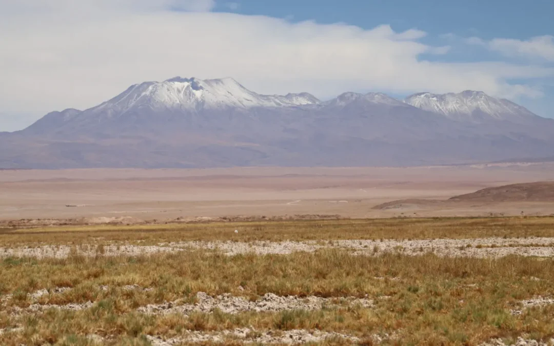 Tribunal ambiental aprueba histórico acuerdo conciliatorio con Escondida, Albemarle y Zaldívar por sobreexplotación hídrica