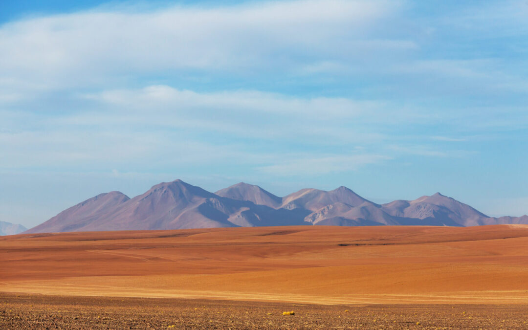 Antofagasta licita 800 hectáreas para proyectos de energías limpias