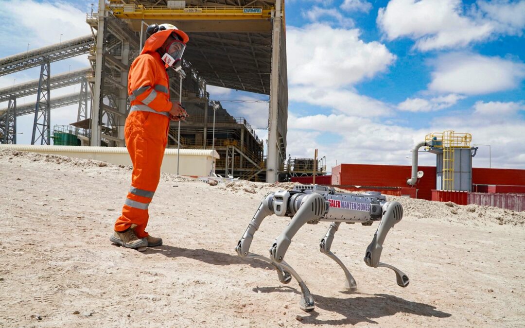 Robot cuadrúpedo refuerza prevención de enfermedades en Gabriela Mistral