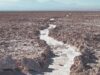 Pueblo Atacameño exige garantías ambientales y participación activa en contratos del Salar de Atacama