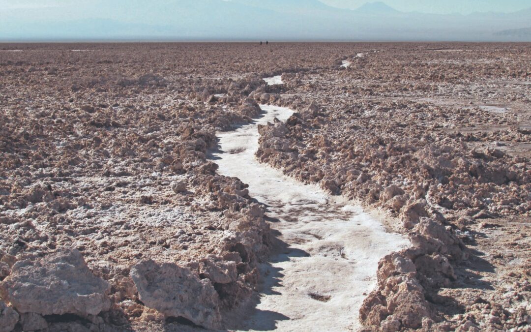 Pueblo Atacameño exige garantías ambientales y participación activa en contratos del Salar de Atacama
