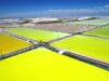 Semestre clave para el Instituto de Tecnologías Limpias: definirá sus primeros proyectos en minería, energía solar y litio