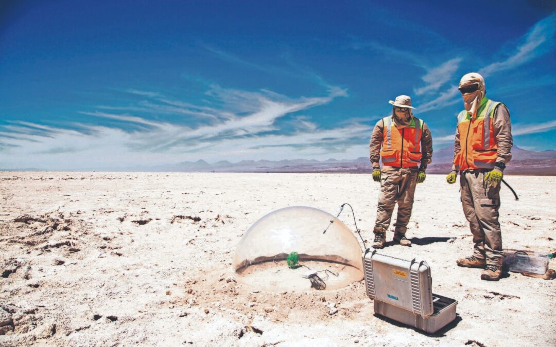 Albemarle prepara ingreso al SEA de su proyecto Transición a la Extracción Directa de Litio (TED) en el Salar de Atacama