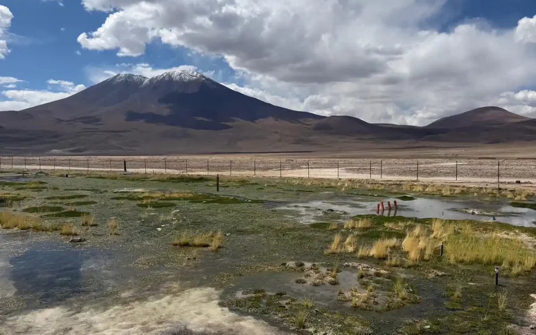 Comunidad quechua logra admisión de querella por daño ambiental en Salar de Ascotán