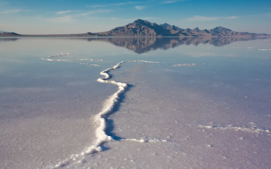 Alianza entre UCN y CIL impulsa estándares sostenibles para el litio en el Salar de Atacama