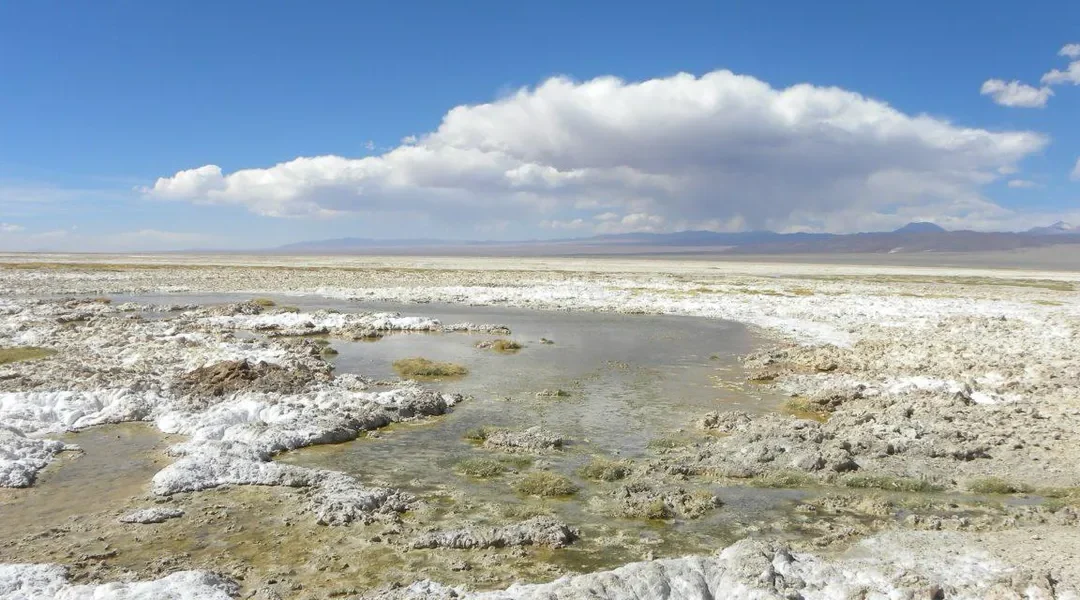 Peine y Toconao llevan aprobación del proyecto NX1 al Tribunal Ambiental